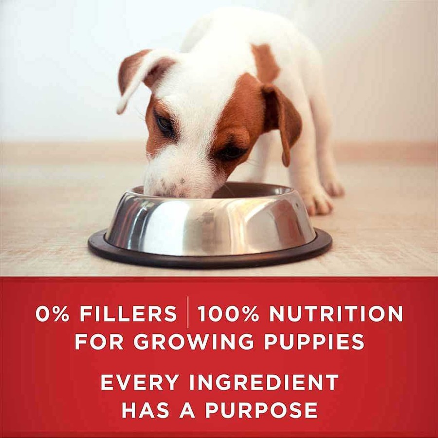 Dogs Purina Wet Dog Food | Purina One +Plus Healthy Puppy Classic Ground Lamb & Long Grain Rice Entr E Wet Dog Food