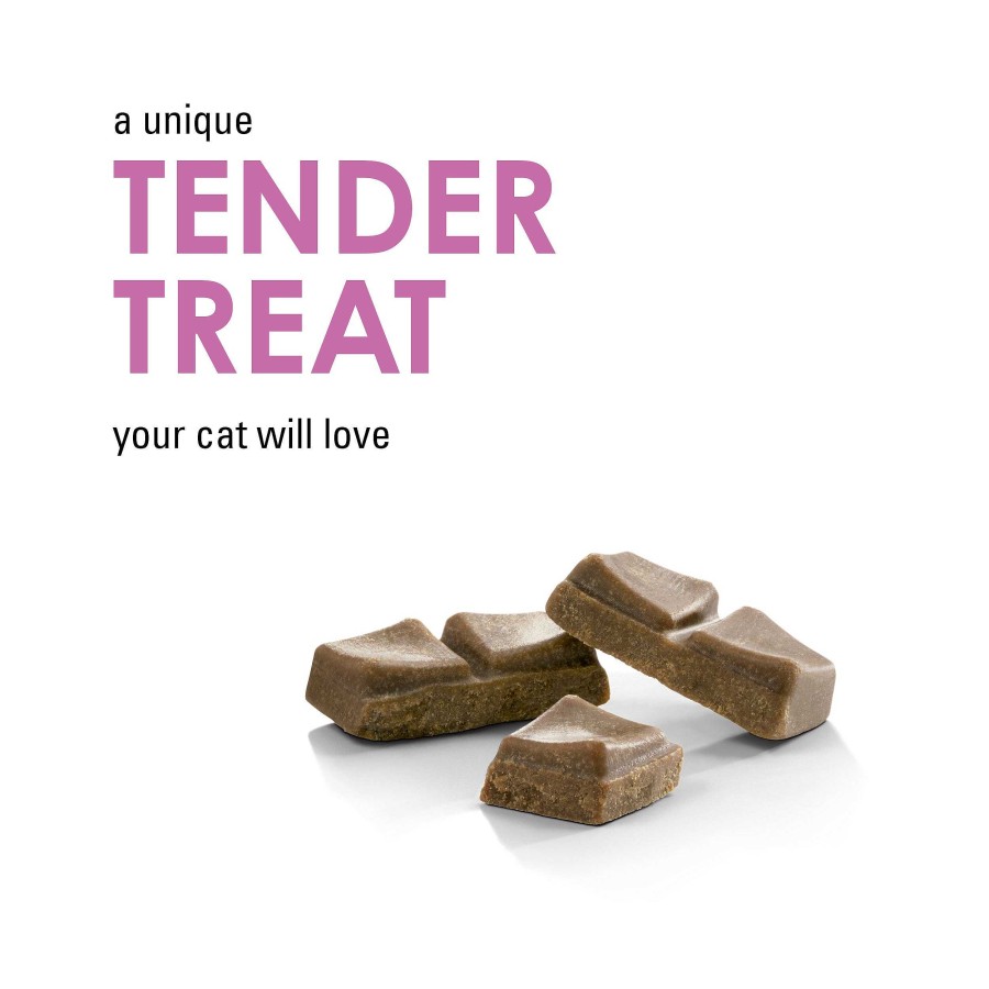 Cats Purina Dry Cat Treats | Fancy Feast Savory Cravings Beef Flavor Cat Treats