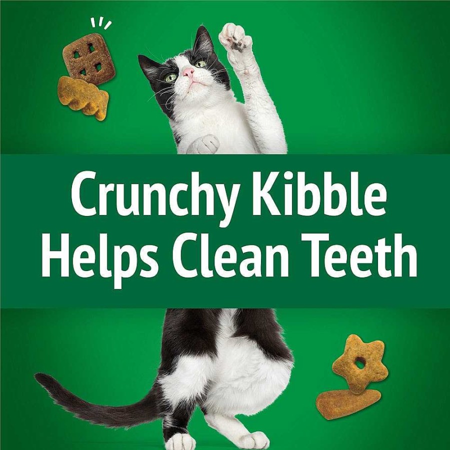 Cats Purina Dry Cat Treats | Friskies Party Mix Picnic Crunch With Chicken & Flavors Of Turkey & Cheddar Cat Treats