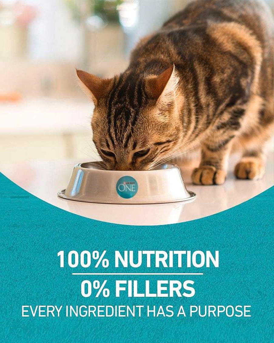 Cats Purina Dry Cat Food | Purina One Tender Selects Blend With Real Salmon Dry Cat Food