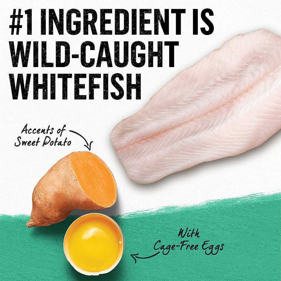 Cats Purina Dry Cat Food | Beyond Simply Grain Free Wild-Caught Whitefish & Cage-Free Egg Recipe Dry Cat Food