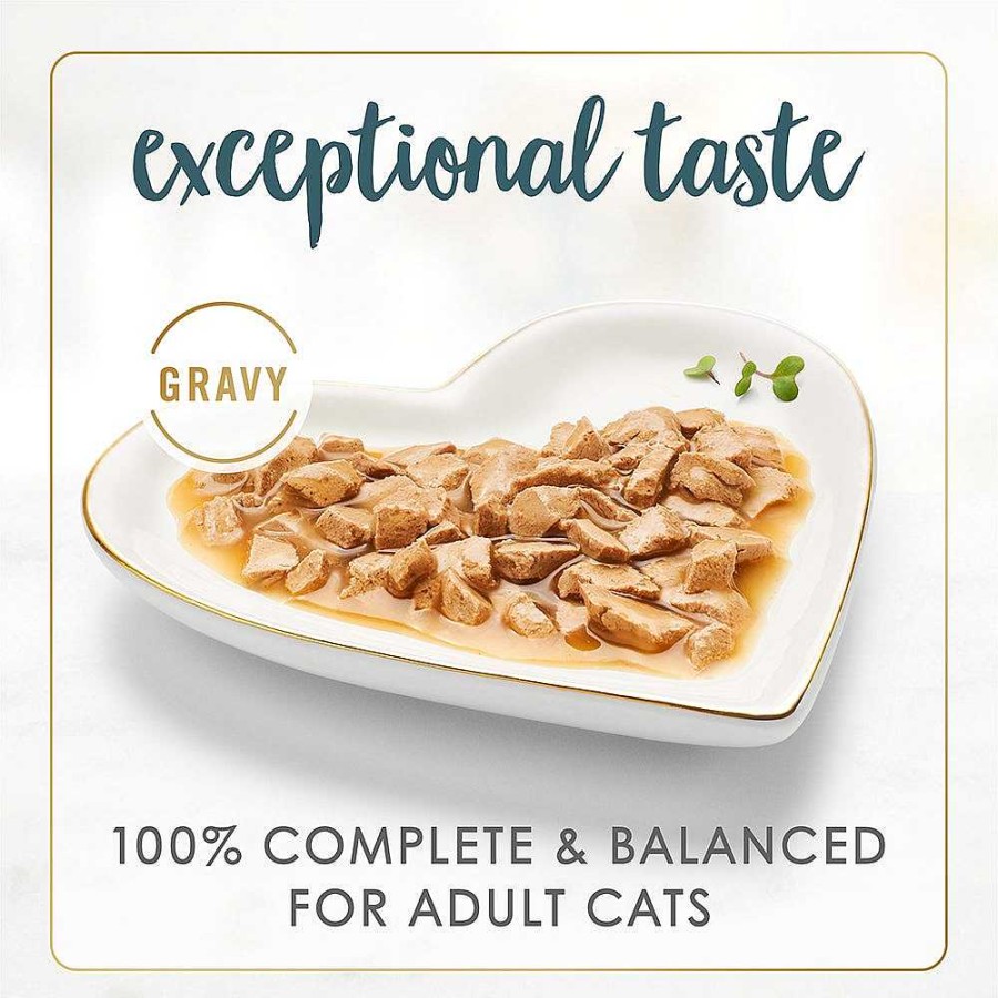 Cats Purina Wet Cat Food | Purina Fancy Feast Gravy Lovers Turkey Feast Gourmet Cat Food In Wet Cat Food Gravy