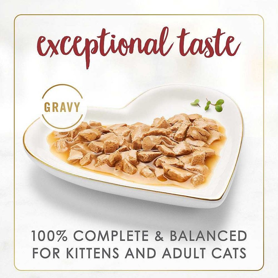 Cats Purina Wet Cat Food | Purina Fancy Feast Gravy Lovers Beef Feast Gourmet Cat Food In Wet Cat Food Gravy