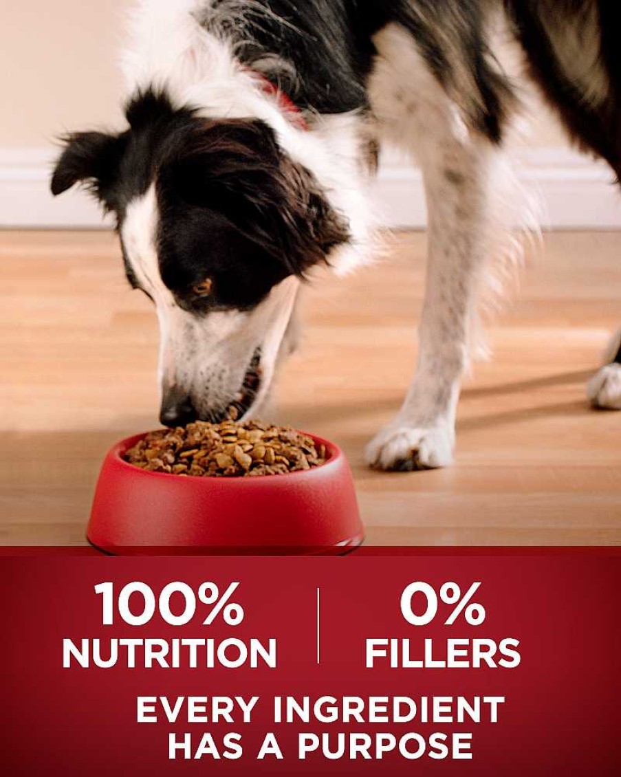 Dogs Purina Dry Dog Food | Purina One® True Instinct Grain Free Formula With Real Beef Shredded Blend Dry Dog Food