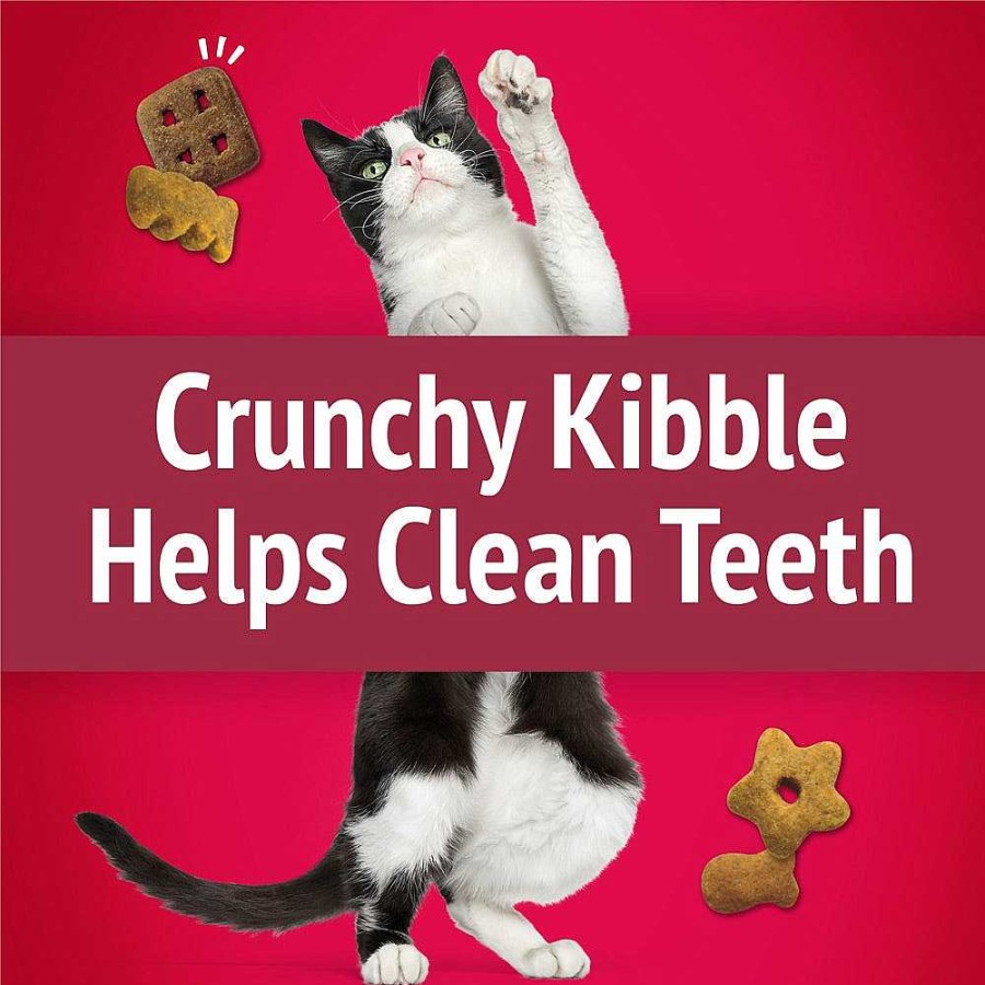 Cats Purina Dry Cat Treats | Friskies Party Mix Mixed Grill Crunch With Chicken & Flavors Of Beef & Salmon Cat Treats