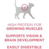 Cats Purina Dry Cat Food | Purina One +Plus Healthy Kitten Dry Cat Food