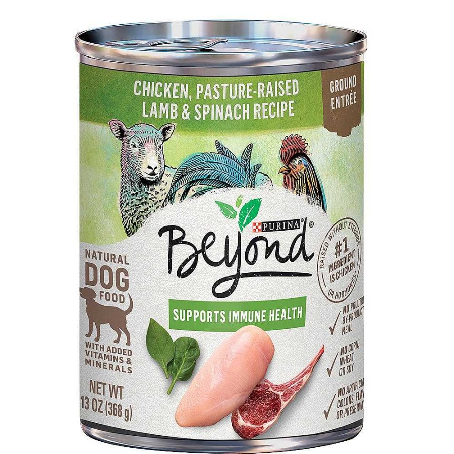 Dogs Purina Wet Dog Food | Beyond Chicken, Pasture-Raised Lamb & Spinach Recipe Ground Entr E Wet Dog Food