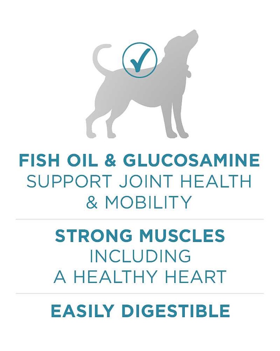 Dogs Purina Dry Dog Food | Purina One +Plus Joint Health Formula Dry Dog Food