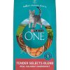 Cats Purina Dry Cat Food | Purina One Tender Selects Blend With Real Salmon Dry Cat Food