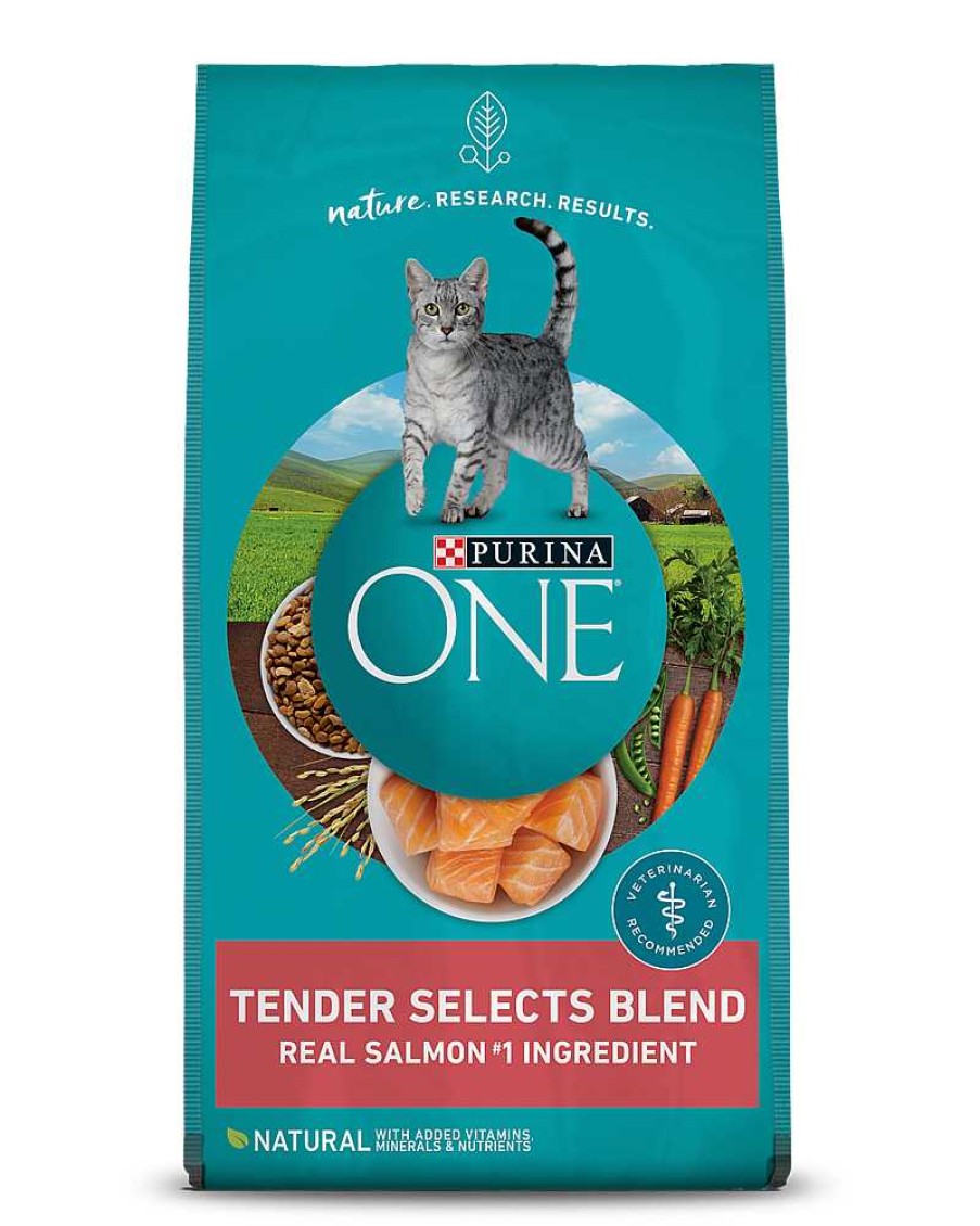 Cats Purina Dry Cat Food | Purina One Tender Selects Blend With Real Salmon Dry Cat Food