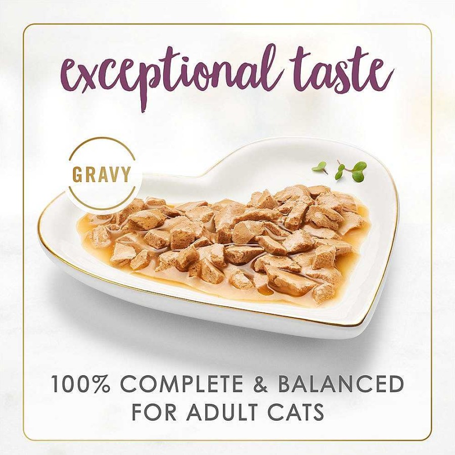 Cats Purina Wet Cat Food | Purina Fancy Feast Gravy Lovers Chicken Feast In Gravy Gourmet Cat Food