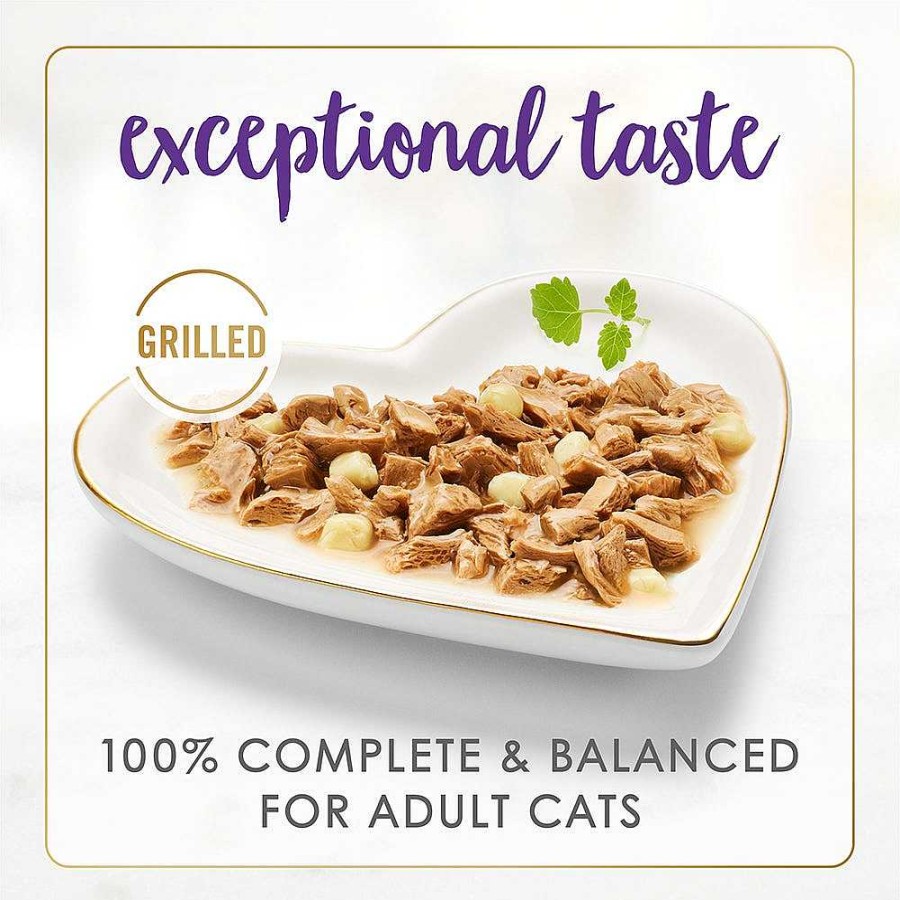 Cats Purina Wet Cat Food | Purina Fancy Feast Delights With Cheddar Grilled Turkey & Cheddar Cheese Feast In Wet Cat Food Gravy Cat Food