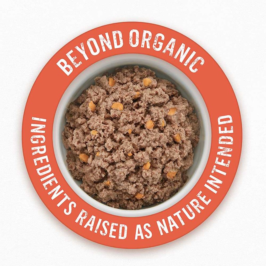 Dogs Purina Wet Dog Food | Beyond Organic Chicken & Sweet Potato Recipe Ground Entr E With Broth Natural Wet Dog Food