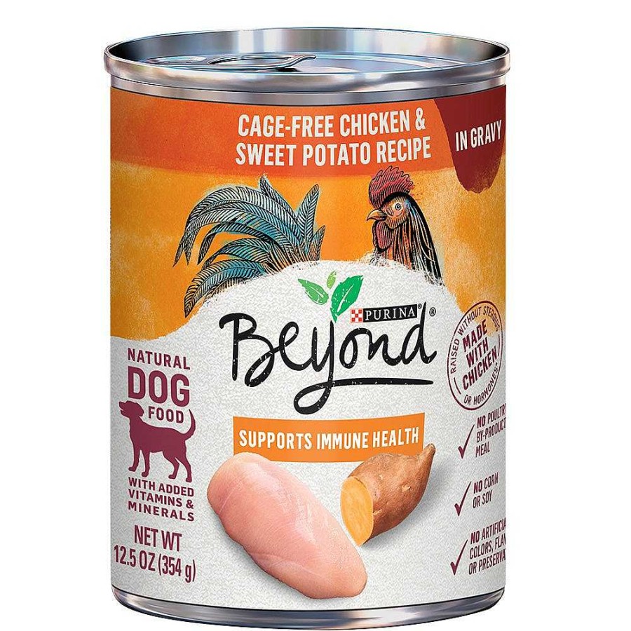 Dogs Purina Wet Dog Food | Beyond Cage-Free Chicken & Sweet Potato Recipe In Gravy Wet Dog Food