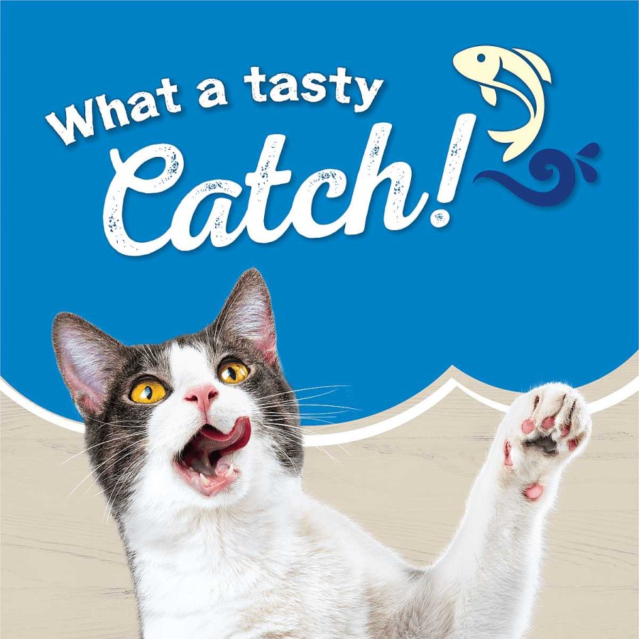 Cats Purina Dry Cat Food | Friskies Ocean Favorites With Salmon And Accents Of Brown Rice & Peas Dry Cat Food