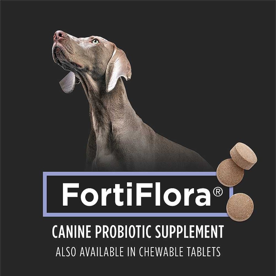 Dogs Purina Dog Supplements | Purina Pro Plan Veterinary Supplements Fortiflora Canine Nutritional Supplement