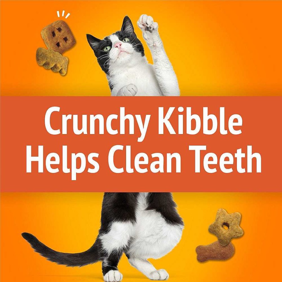 Cats Purina Dry Cat Treats | Friskies Party Mix Original Crunch With Chicken & Flavors Of Liver & Turkey Cat Treats