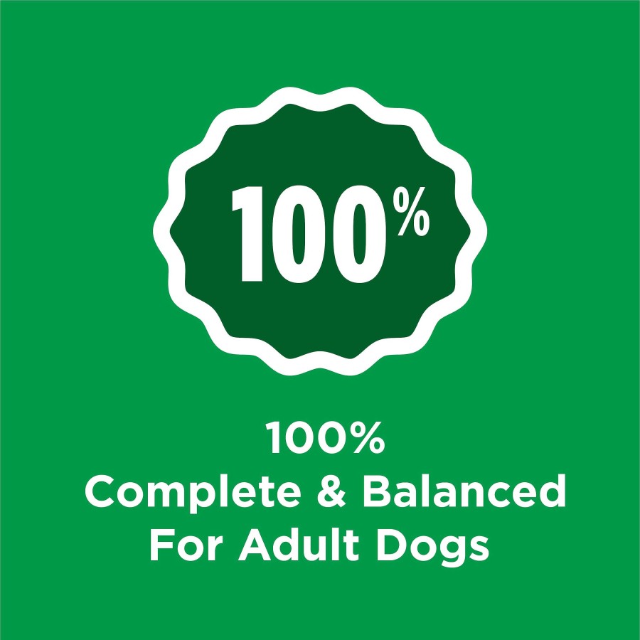 Dogs Purina Dry Dog Food | Purina Dog Chow Complete Adult Chicken Flavor Dry Dog Food