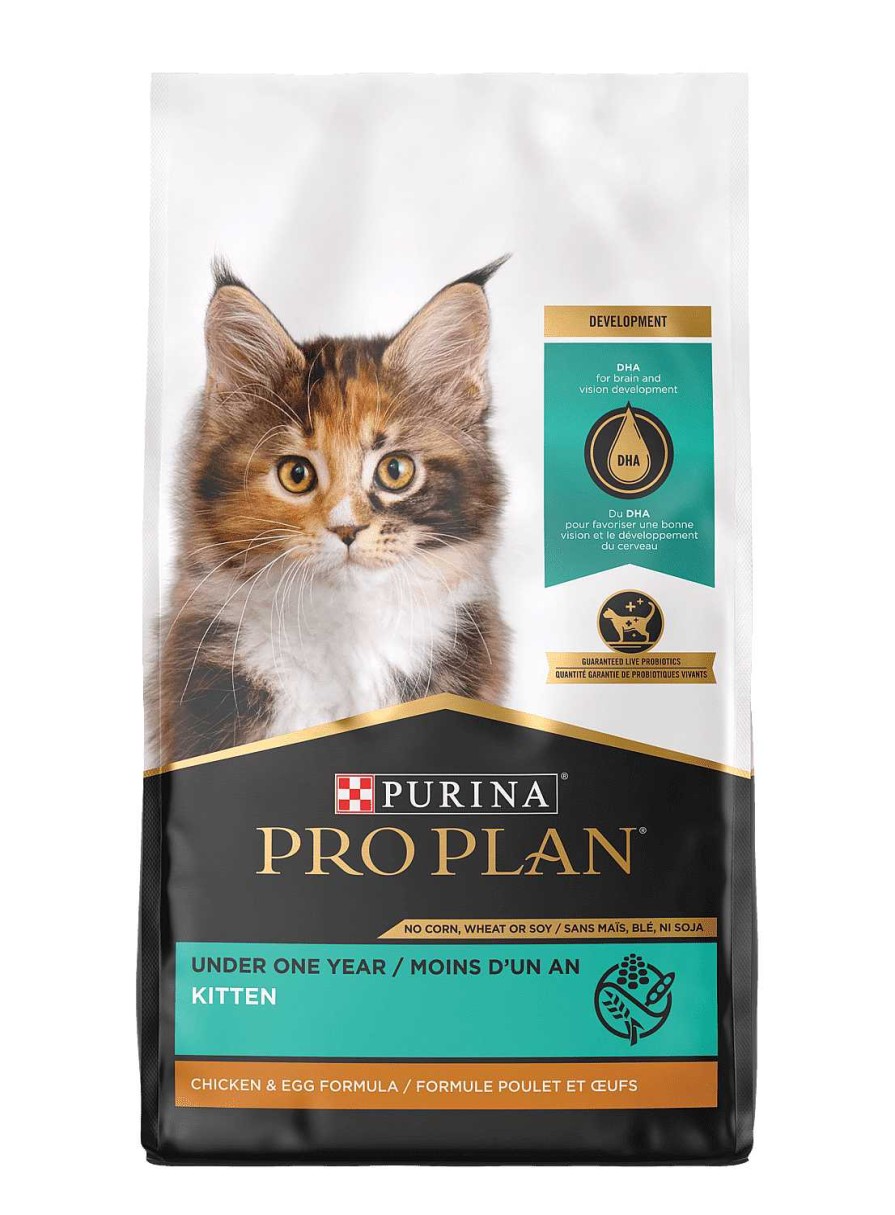 Cats Purina Dry Cat Food | Pro Plan Kitten Chicken & Egg Formula Dry Cat Food