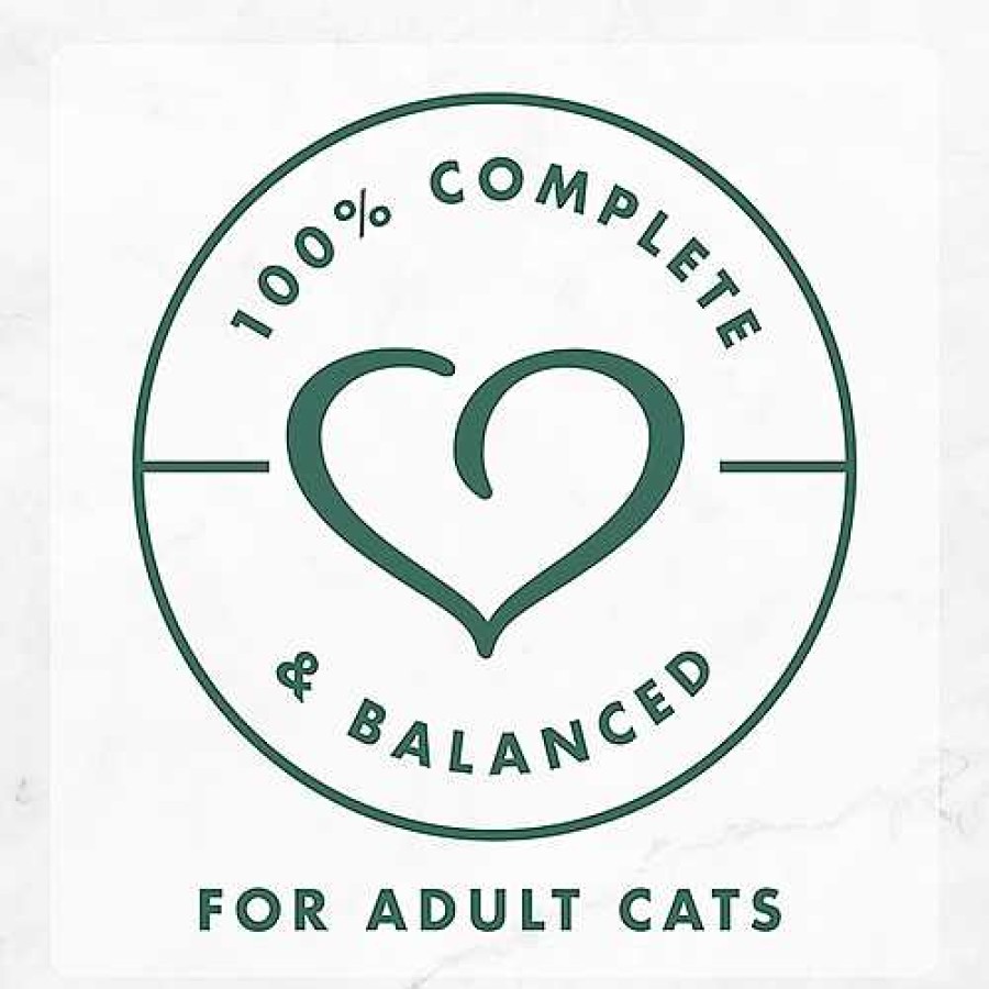 Cats Purina Wet Cat Food | Fancy Feast® Marinated Morsels Chicken Gourmet Wet Cat Food In Gravy