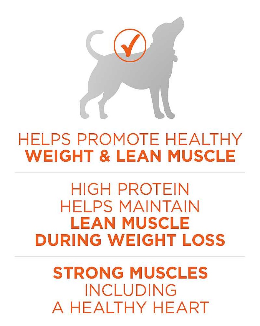 Dogs Purina Dry Dog Food | Purina One +Plus Healthy Weight High-Protein Formula Dry Dog Food