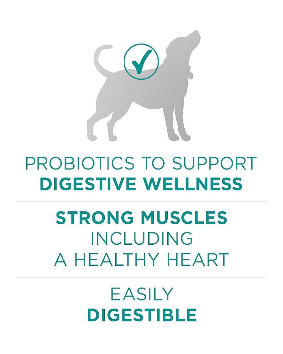 Dogs Purina Dry Dog Food | Purina One +Plus Digestive Health Formula Dry Dog Food