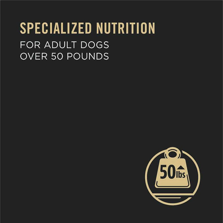 Dogs Purina Wet Dog Food | Pro Plan Adult Large Breed Beef & Rice Entr E Chunks In Gravy Wet Dog Food