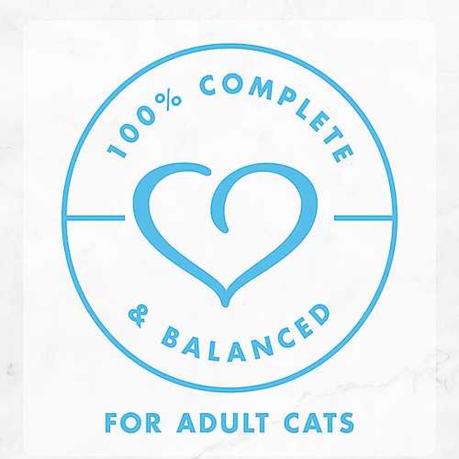 Cats Purina Wet Cat Food | Fancy Feast Creamy Delights Salmon Wet Cat Food With A Touch Of Real Milk