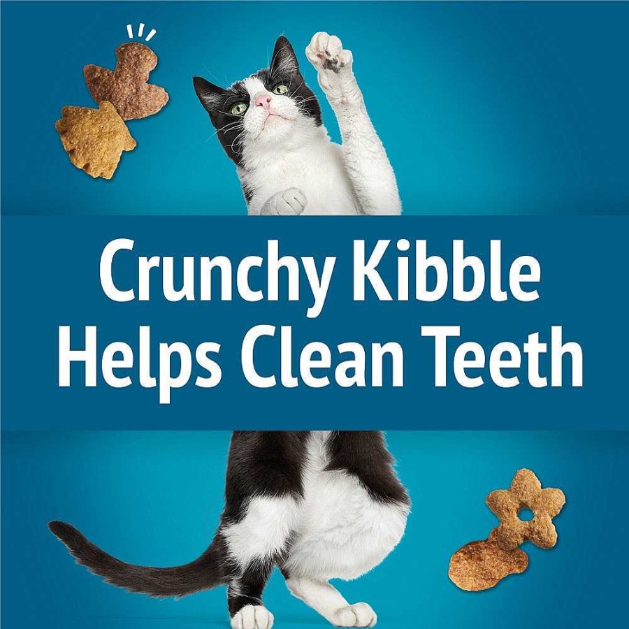 Cats Purina Dry Cat Treats | Friskies Party Mix Seafood Lovers Crunch With Ocean Whitefish & Flavors Of Lobster, Scallops & Shrimp Cat Treats