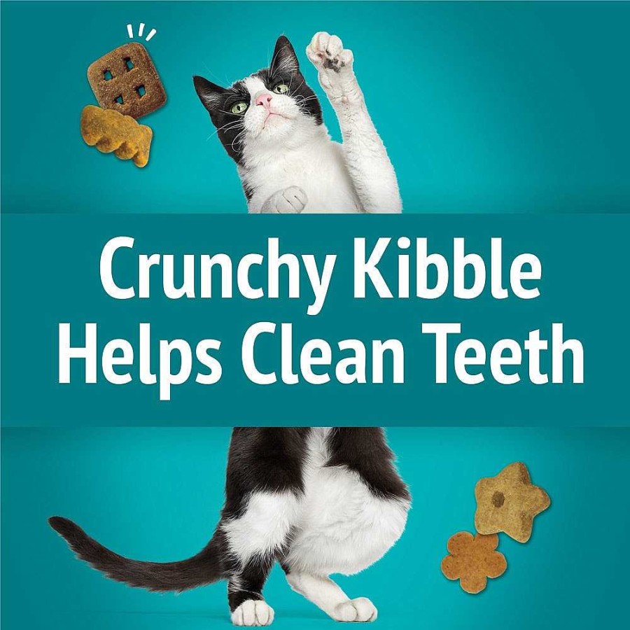 Cats Purina Dry Cat Treats | Friskies Party Mix Meow Luau Crunch With Ocean Whitefish & Flavors Of Pork & Crab Cat Treats