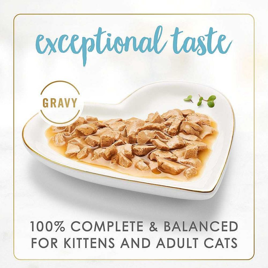 Cats Purina Wet Cat Food | Purina Fancy Feast Gravy Lovers Salmon And Sole Feast Gourmet Cat Food In Wet Cat Food Gravy