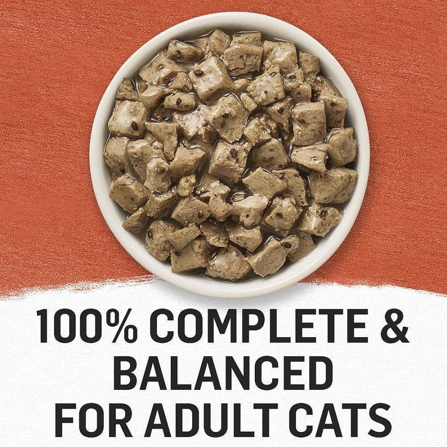 Cats Purina Cat Toppers & Complements | Beyond Mixers+ Digestive Support For Cats Salmon & Pumpkin Recipe With Accents Of Whole Chia Seeds