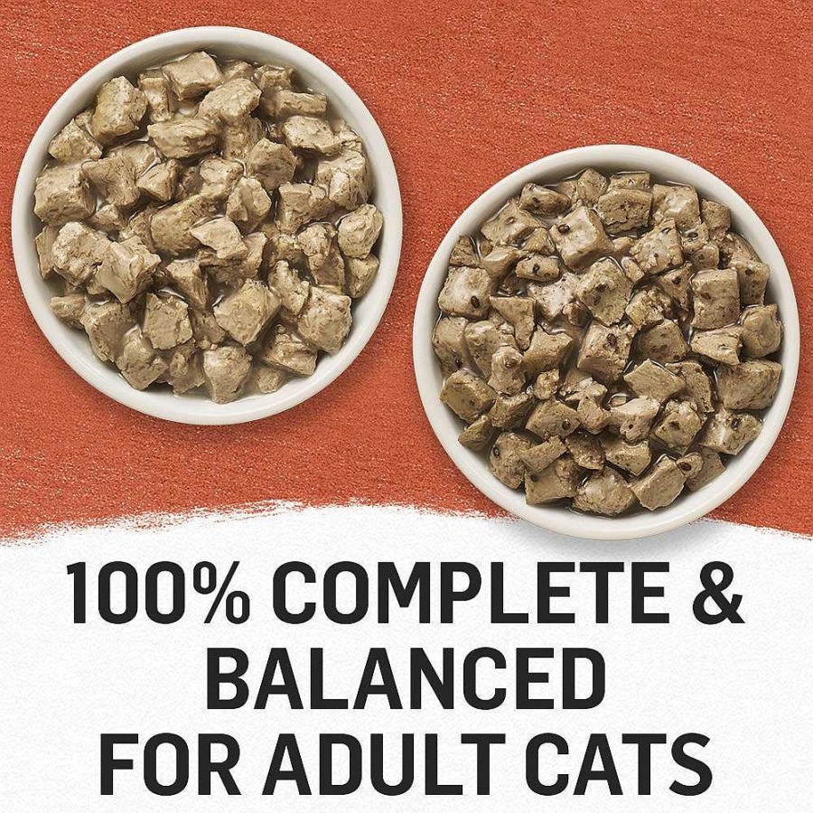 Cats Purina Cat Toppers & Complements | Beyond Mixers+ Complete & Balanced Digestive Support For Cats Variety Pack