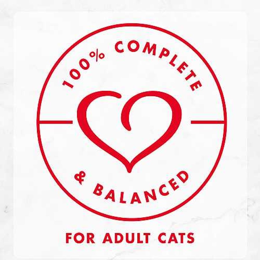 Cats Purina Wet Cat Food | Fancy Feast Minced Turkey Gourmet Wet Cat Food In Sauce