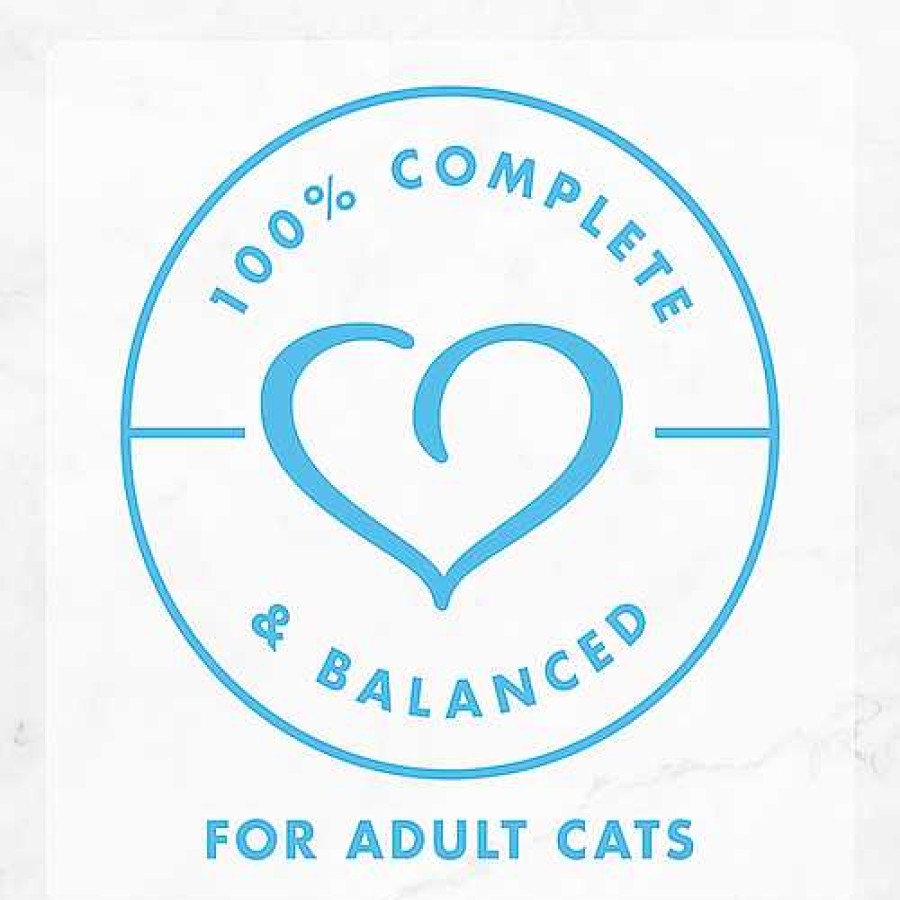 Cats Purina Wet Cat Food | Fancy Feast Creamy Delights Chicken Wet Cat Food With A Touch Of Real Milk In A Creamy Sauce