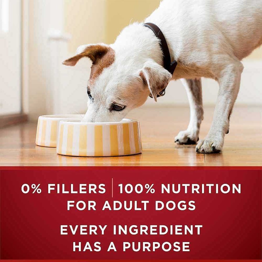 Dogs Purina Wet Dog Food | Purina One True Instinct Tender Cuts In Gravy Dog Food Formula With Real Chicken & Duck